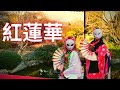 【踊ってみた】紅蓮華-翔 千龍 & 凰 真之輔