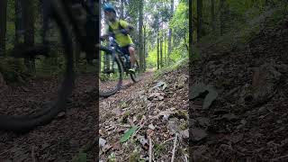Igman stara Enduro staza #mtb #tandemmtb #bosnaihercegovina #sarajevo