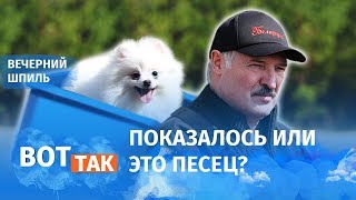 У Лукашенко – субботник, у COVID-19 – новый рекорд! / Вечерний шпиль