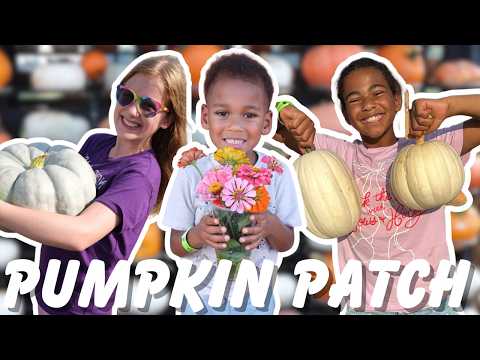 Pumpkin Patch & Corn Maze Fun | Wilder Family Fall Day                                       