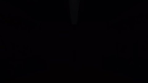 Predator-Hunting Grounds Bomb Defuse Tutorial - with details!!!!