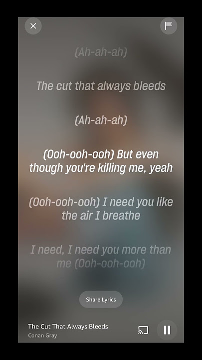 The Cut That Always Bleeds ° Conan Gray 🩸🎶 #songs #lyrics #popularsongs