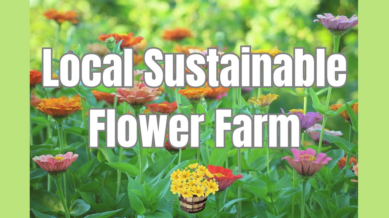 Local Sustainable Flower Farm YouTube
