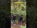 My Friend's Falls 🤣😂#comedyfilms #travel #trendingshorts #comedy #update #funny #falls#Kodaikanal