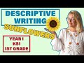 Descriptive Writing and Similes Quiz
