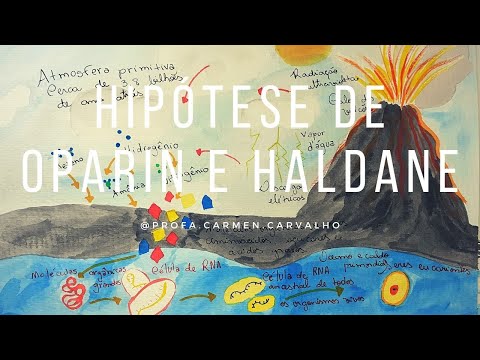 Hipótese de Oparin e Haldane