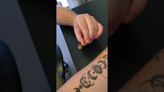 Cutaneous receptors Test B Bio201