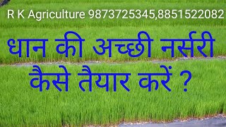 धान की नर्सरी लगाते समय ये गलती ना करें ।धान की अच्छी नर्सरी कैसे तैयार करें?