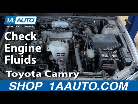 How to Check Your Fluids on a 98-03 Toyota Camry