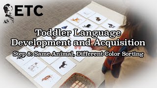 Step 8 Same Animal Different Color Sorting