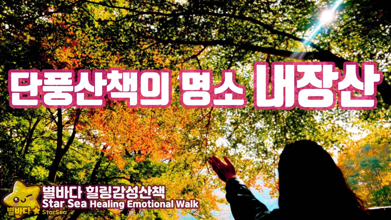 [🌠Эмоциональная прогулка] 🚩Пунсан, достопримечательность прогулочной дороги 😊