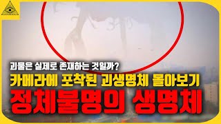 카메라에 포착된 소름끼치는 괴생명체 100가지