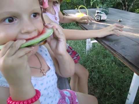 Немного наших будней