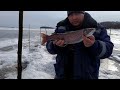 БОЛЬШОЙ ЛЕНОК  - МНЕ НЕ ФОРТАНУЛО. Зимняя рыбалка на амуре 2021