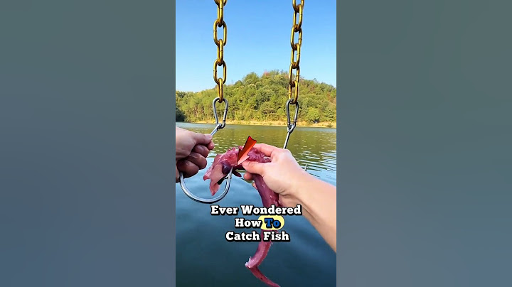 Genius Fish Trap in Action – Easy Catch! 🐟 #fishing #fishtrap #shorts