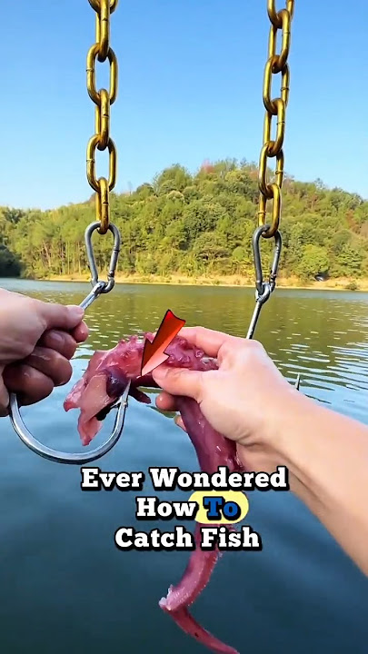 Genius Fish Trap in Action – Easy Catch! 🐟 #fishing #fishtrap #shorts