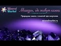 Промо-ролик магазина Минерал Маркет