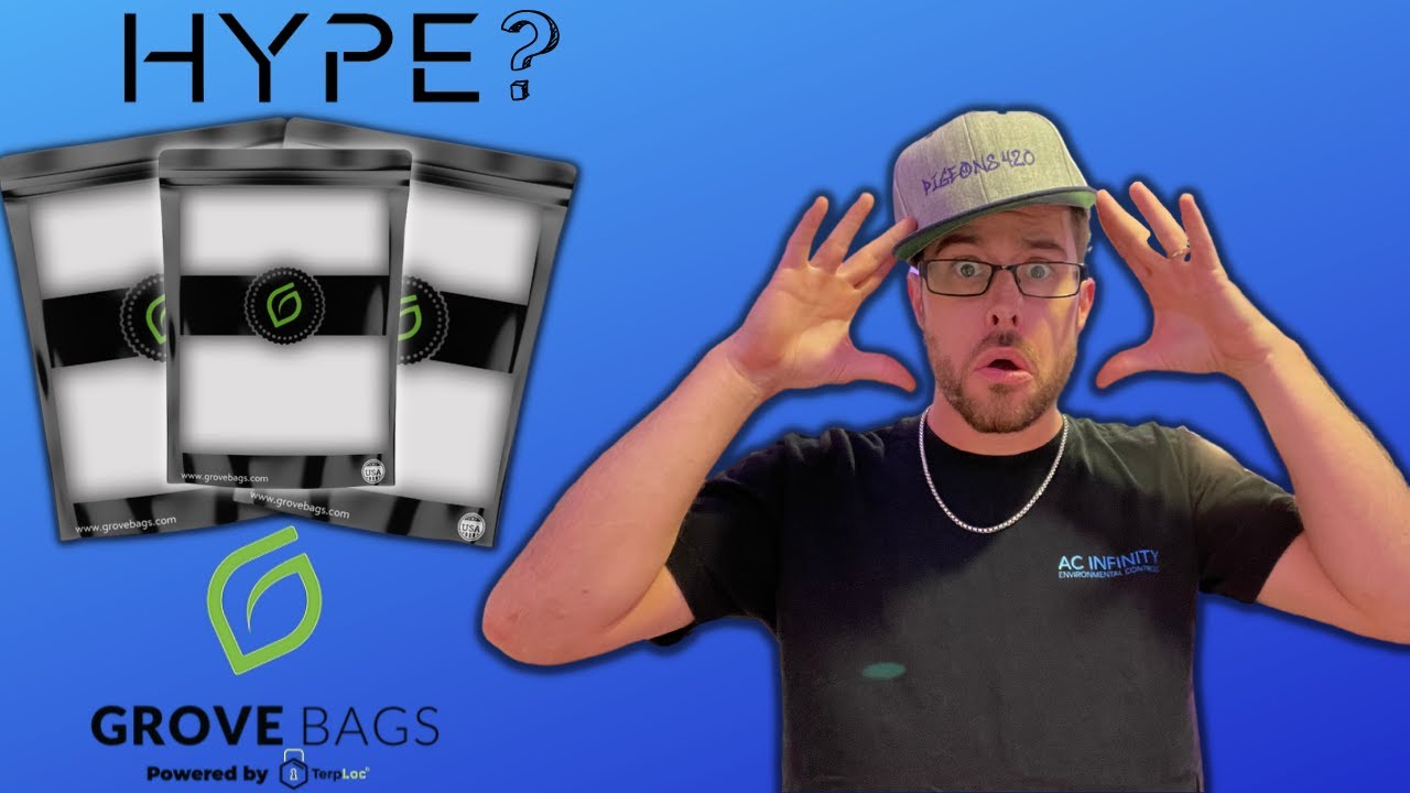 Сумки Grove — это всего лишь шумиха?