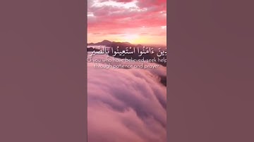 اللهم اجعل القرآن الكريم ربيع قلوبنا ونور صدورنا  وجلاء همومنا وذهاب احزاننا🍭🦋