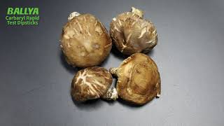 Carbaryl Test - Detection Of Carbaryl In Mushroom - Ballya