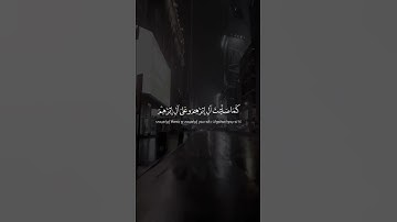 (اللهم صل على محمد وعلى ال محمد) القارئ بيشه وا قادر الكردي حالات واتس اب❤🍁
