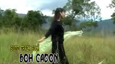 lagu aceh jameun mae pong (boh cadon)