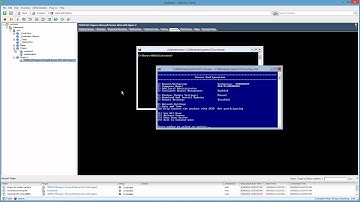 VMware ESXi 5.1 can run Microsoft Hyper-V Server 2012 VMs, nice!