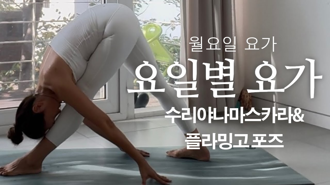 요일별 요가/ 월요일요가 / 20분 요가 / 수리야 나마스카라 / 플라밍고 포즈 / 활력요가