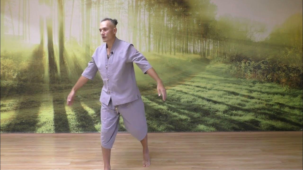 Цигун видео. Цигун видео. Цигун видео. Чжао бао тайцзицюань. Тай цзи цюань.