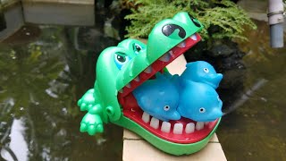 Trò Chơi Giải Cứu Cá Heo 🐬 ❤️
