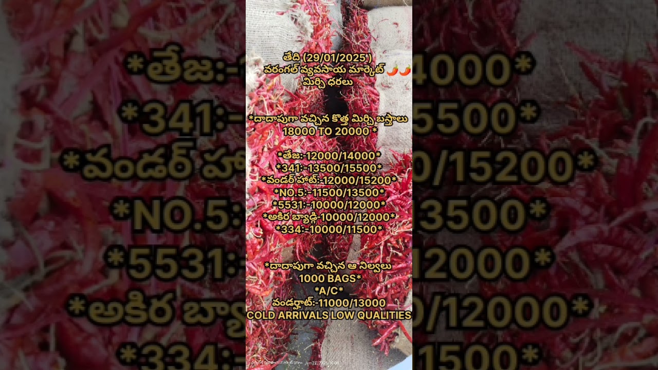 Today warangal mirchi market rates