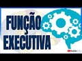 Funo executiva aula  cognio  rogrio souza