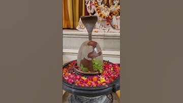 किसी के भाग्य में कितना भी दुख लिखा हो, इस उपाय से समाप्त हो जाएगा #shiv #pradeepmishra