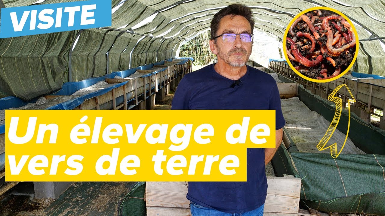 Lombricompost : Visite d'une ferme à vers de terre