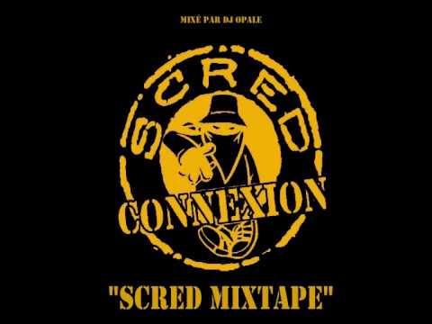 SCRED CONNEXION  - On s'en tape (REMIX)