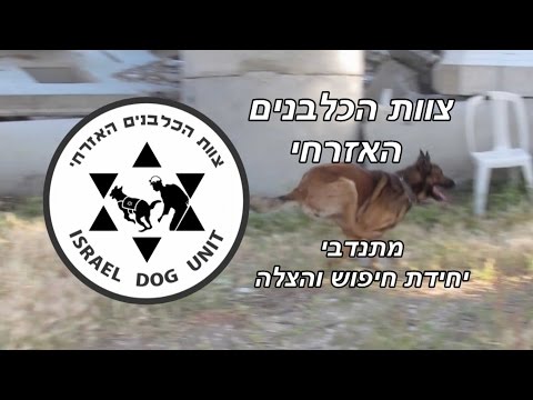 צוות כלבנים אזרחית - הכשרת כלבי חיפוש והצלה