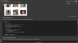TF Lite - The Professional Course. Week 1, lesson 5: Setup and dataset preparing