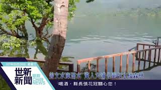 世新新聞曾文水庫滿水淹入大浦公園如水樣森林