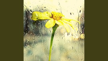 Stellar Backdrops for Rainy Days