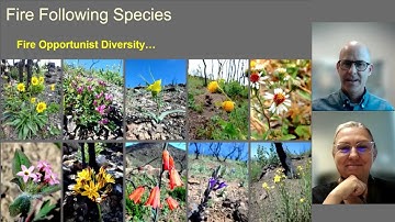 Fire Data Speaker Series: Post-fire Species Recovery (Part 1)