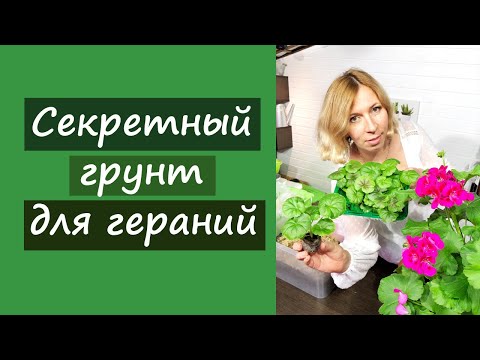 Секретный грунт для гераней