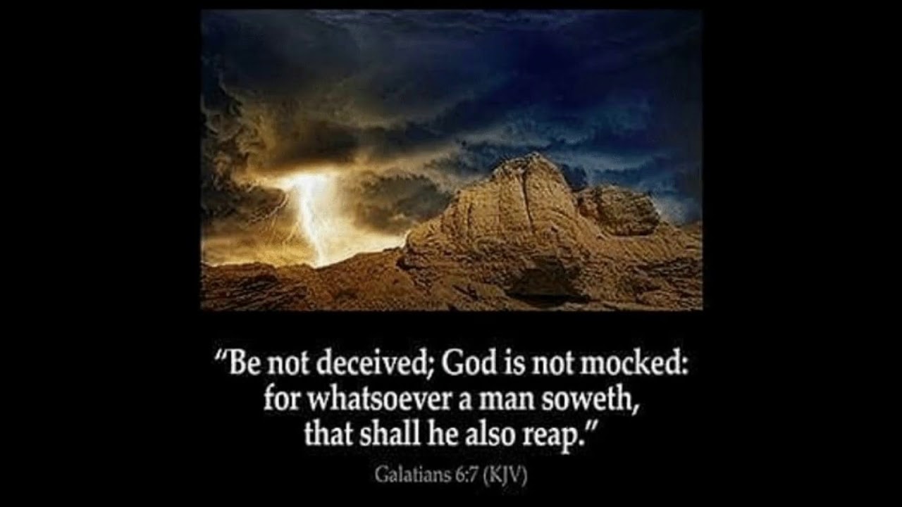 Bemoediging 'Wat je zaait ZUL je oogsten!' Vrijdag 11/10/2019 - YouTube