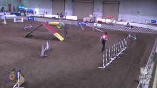 AKC Nationals 2017 PREMIER Standard Friday