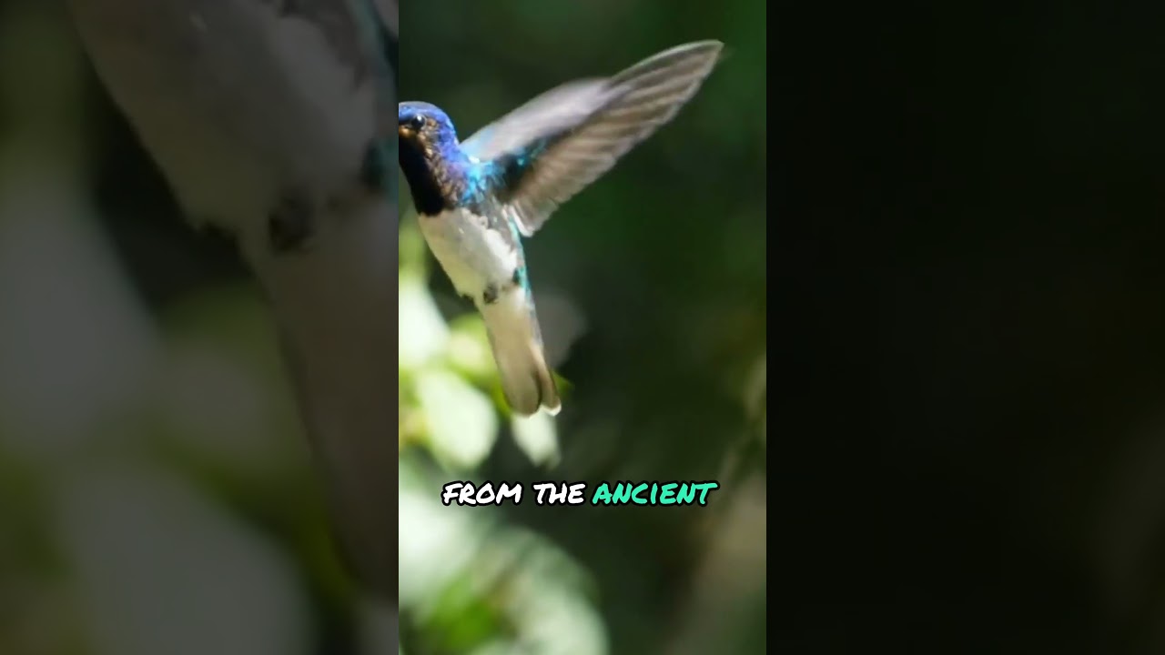 Nature's Majesty_ Protecting Our Planet's Wonders! 