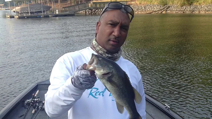 The Bass