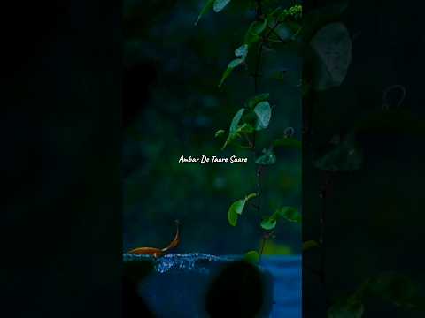 Farmaish - LoFi