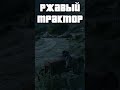 Редкие машины GTAV где спавн. #gta #shorts #facts #interestingfacts