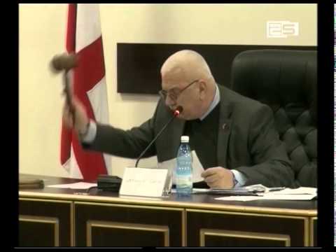 ჯემალ ფუტკარაძემ ნაციონალური მოძრაობის წევრებისა და მედეა  ვასაძისგან 8 ხმა მიიღო