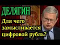 ДЕЛЯГИН. Для чего замысливается цифровой рубль?