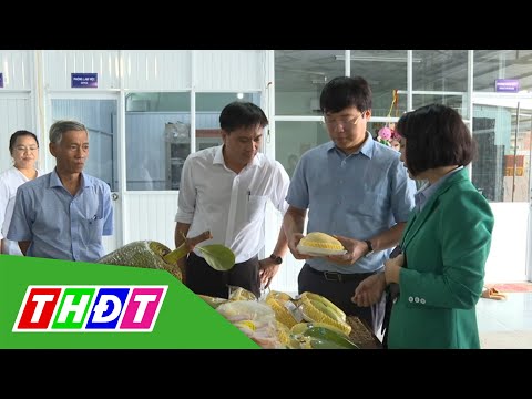 Video Bí thư Tỉnh ủy Đồng Tháp Lê Quốc Phong làm việc với... - youtube